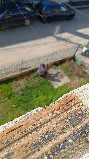 nike bomber jakna: Zimska muška jakna + patike (sportski set) - Jakna: prošivena, topla — 5