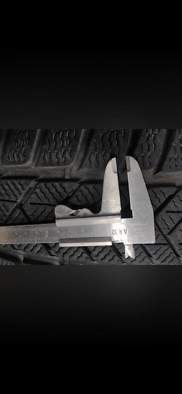 zena za pomoc u kuci beograd: Pirelli Scorpion Winter – set zimskih guma za 4x4/SUV vozila — 6