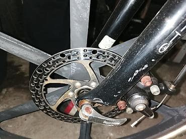 davies extra sticker: Ostali motocikli i skuteri — 2
