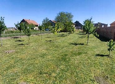 Na prodaju kuća u Bačkom Gračacu, Opština Odžaci, 97 m2 - 2 spavaće — 5