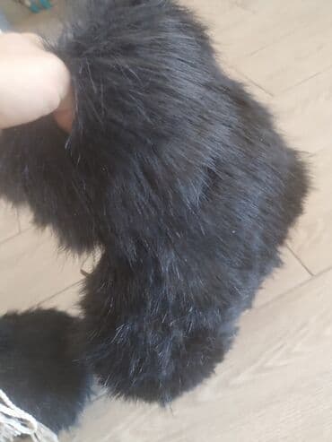 gde kupiti ugg čizme u beogradu: High boots, 37 — 3