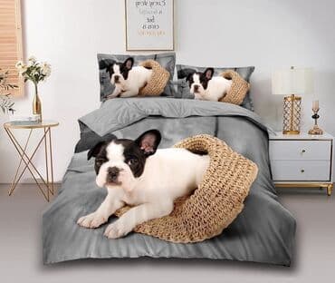 Lighting & Fittings: Single — 3