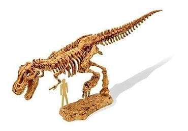 Kreativne i edukativne igračke: Buki Dino set brachiosaurus Pretvori igru u paleontološku avanturu! U — 4
