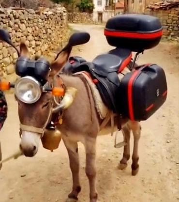 Daske za peglanje: Trecina napravljena. Ove saraljke nisu pravljene da bi bile lepe — 10