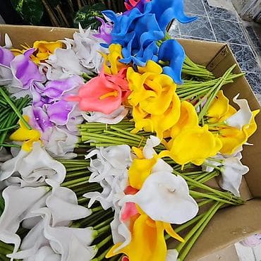 Ureznice: Vestacke kale
10kom- 1400 din — 2