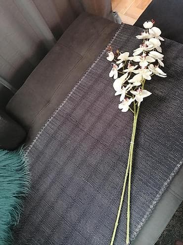 decor din: Dve grane vestacke orhideje — 2