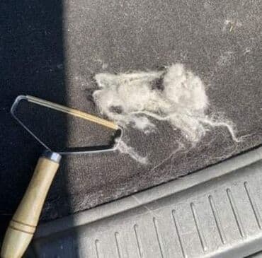 grebalice za macke: Grebalica za uklanjanje životinjskih dlaka i gromuljica sa — 3