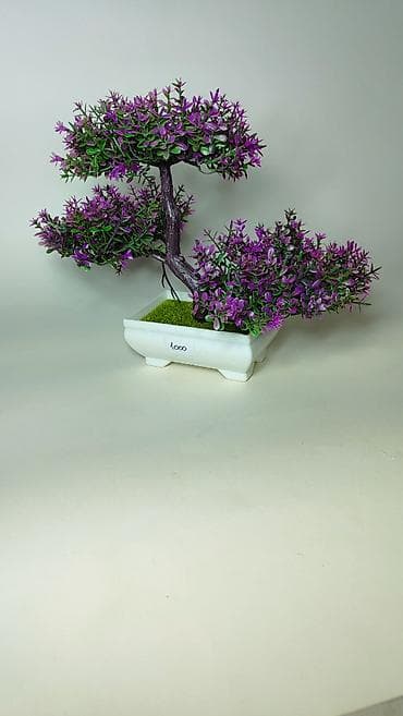 Kućni dekor: Dekorativno bonsai drvo u saksiji - Realistična bonsai kompozicija sa — 2