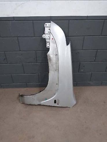 Fenders: BLATOBRANI I KRILA ZA TOYOTA LAND CRUISER OD 2006. DO 2023. GOD. | — 2