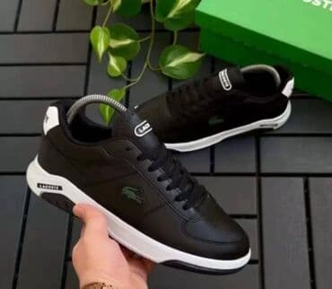 lacoste cipele muske: Patike, veličina - 41 — 1