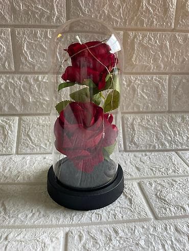 patike za tenis: Večna ruža u staklenom zvonu sa led lampicom Cena:1800din 🌹✨ ČAROBNA — 5