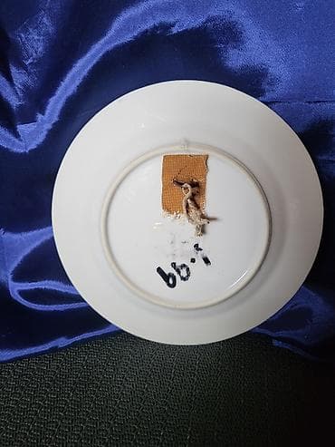 testik za vodu: Tanjir vintaz za na zid porcelanski Kalifornija. Tanjir perfektan sa — 9