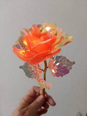 Irizirajuća dekorativna ruža – svetlucava „večna“ ruža - Materijal na lalafo.rs — 8 Irizirajuća dekorativna ruža – svetlucava „večna“ ruža - Materijal — 8