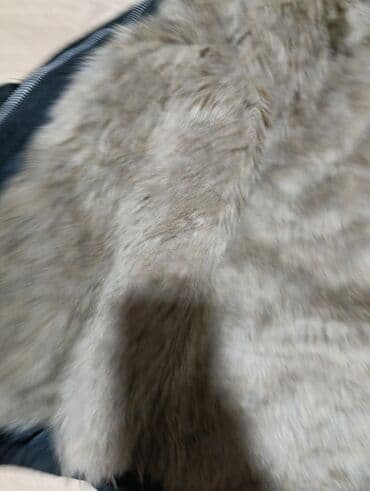 sivi kaput zara: Jakna xs — 3