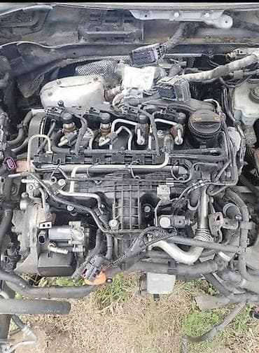 profi auto dijagnostika: 1.6 TDI ZA VOLKSWAGEN GOLF 6, PASSAT B7 | Motor 1.6 tdi 77kw 105ks — 1
