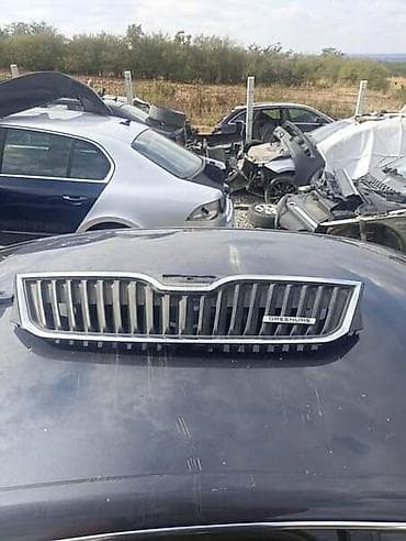 Car Parts: MASKA ZA ŠKODA RAPID OD 2013. DO 2019. GOD. | SKODA RAPID 9.GOD — 4
