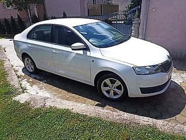 hauba reno clio 2: LIMARIJA MEHANIKA TRAP KLIMA ZA ŠKODA RAPID OD 2012. DO 2018. GOD. | — 3