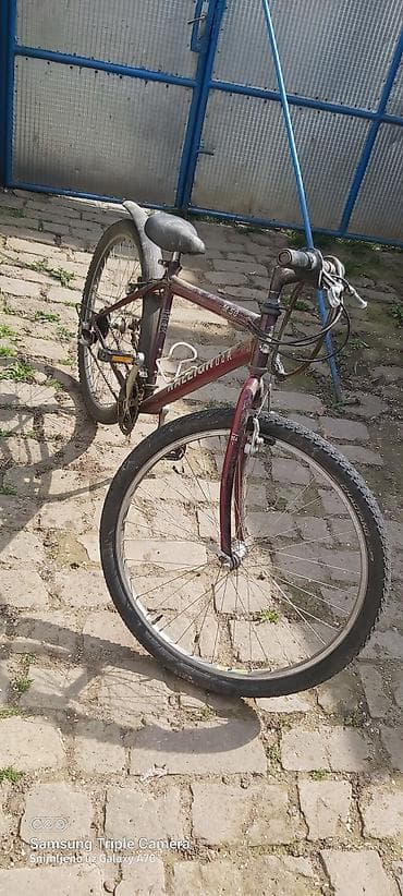 Raleigh muški/uni brdski bicikl, klasični čelični ram - Ram: čelični