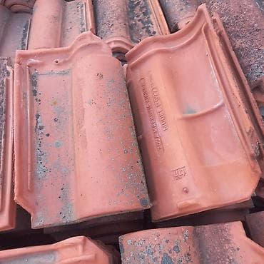 sanduci za pse: HITNO Crep Toza Marković P977 15din KOM 1300kom Rasprodaja Prodajem — 6