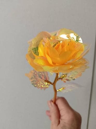 Irizirajuća dekorativna ruža – svetlucava „večna“ ruža - Materijal na lalafo.rs Irizirajuća dekorativna ruža – svetlucava „večna“ ruža - Materijal