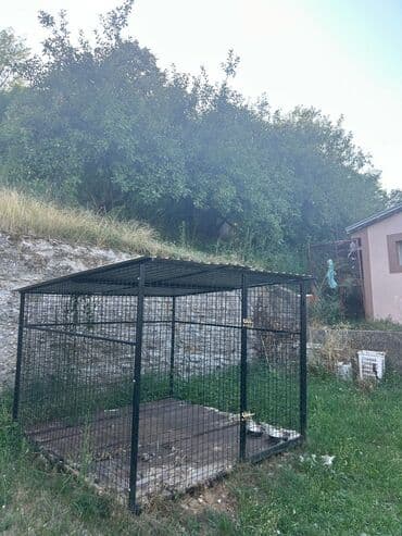 usisivac za pse: Prostran i siguran boks za pse, idealan za držanje vašeg ljubimca na — 1