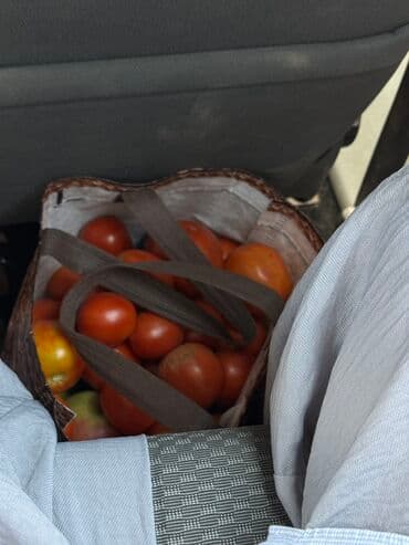 makita makaze za voce: Tomatoes 1 kg — 1