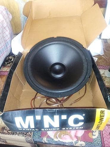 xbox series s: MNC “Sunflower” 12" bas zvučnik - Prečnik: 12 inča (30 cm) - Snaga — 1