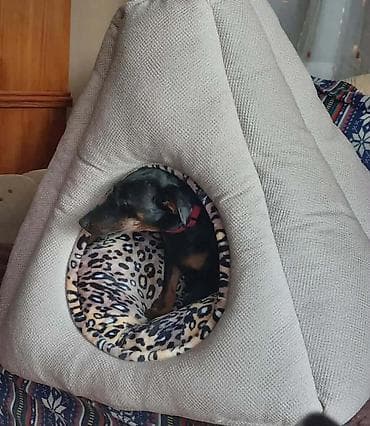 Kućica za mace i kuce. Mekani krevet sa skrivenim ležištem