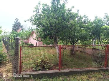 dobos kuce golubinci: 18 sq. m, 2 bedroom — 9