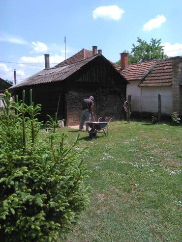 kuce zabalj: 120 kv. m, 4 sobe — 3