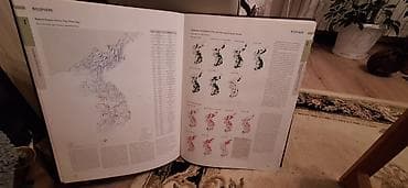 američka pita 7: The National Atlas of Korea II – luksuzno, veliko izdanje u tvrdom — 4