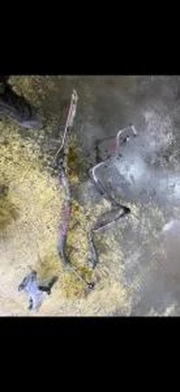 rosule ili rolsue: AUDI A4 A5 CREVO SERVO PUMPE I LETVE | Audi vw delovi zemun altina — 1