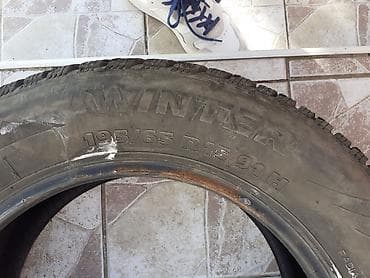 sidro za camac: Tigar Winter – zimska guma, pojedinačno - Marka/model: Tigar Winter - — 4