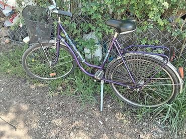 polovni bicikli ruma: Ženski gradski bicikl – ljubičasti ram sa spuštenom gornjom cevkom — 2