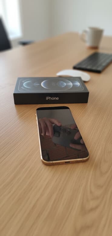 mobilni shop novi sad: Apple iPhone iPhone 12 Pro Max, 128 GB, White Titanium — 1