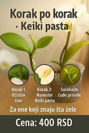 privesci za samoodbranu: Keiki pasta za razmnozavanje i produzetak cvetanja vaše — 9