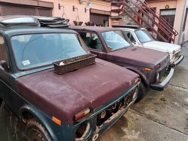 sijalice za traktor: Kupujem Lade Nive za delove. Placam 300 do 800 eura zavisno od stanja — 3