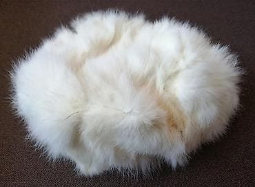 torbica milica w: Bоја - Bela — 2