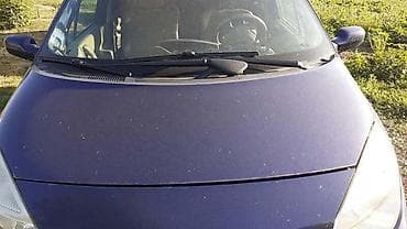 nalepnice za automobile: HAUBA ZA RENAULT SCENIC — 1
