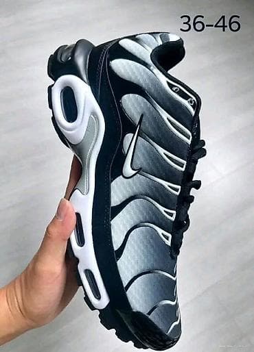 carrera cipele: A klasaTN
5600din💥
NT
Pitati za broj — 3