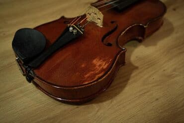 Bike accessories: Violina 4/4 sa gudalom - Klasična violina pune veličine (4/4), toplog — 4