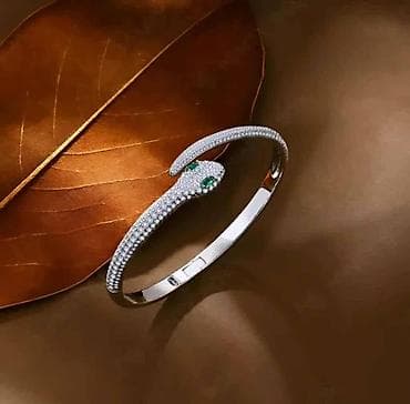 Muška odeća: ✨ Elegantna narukvica – simbol snage i luksuza ✨ Prelepa narukvica u — 1