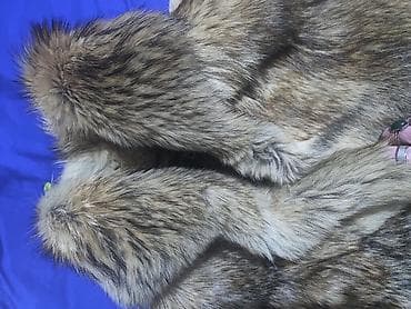 bunda nerc cena: L, Sa postavom, bоја - Bež — 6