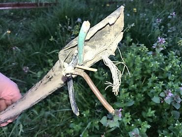 Dalekovodni visokonaponski petozilni kabl sa sajlom debeo tezak tacno