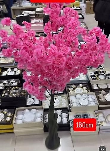 Alati i mašine: Dekorativno drvo trešnje – 160 cm - Visina: 160 cm (označeno na — 2