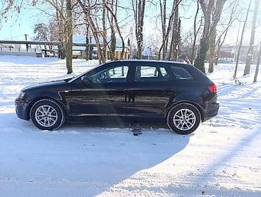 cerada za sofersajbna: Audi A3: 1.6 l | 2006 г. Hečbek — 8
