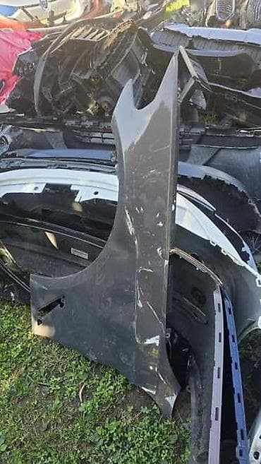 dusek za vodu: LEVO KRILO G30 G31 ZA BMW SERIJA 5 | BMW 5 g30 g31 levo krilo blago — 1