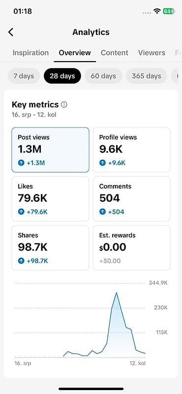posao varvarin: TikTok nalog/stranica sa dokazanim rezultatima – statistika iz — 4