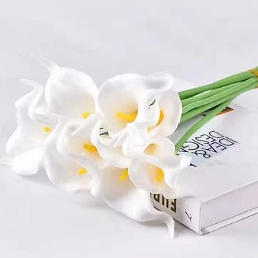 Ureznice: Vestacke kale
10kom- 1400 din — 6