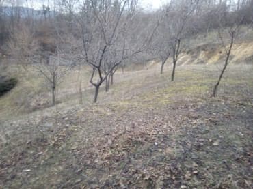kuce na selu: Prodajem ili bih menjao tri vezana placa u Loznici od 30 ari sa — 6